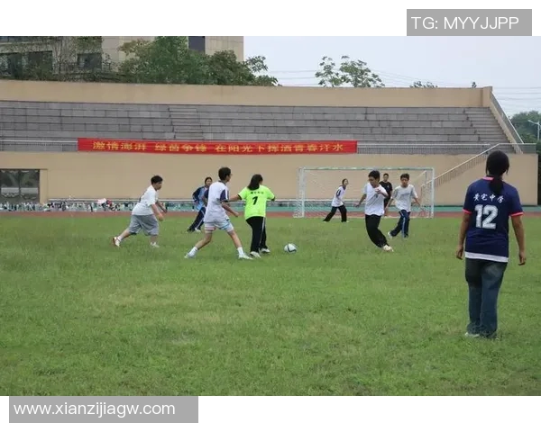 深圳足球队比赛经验分析与表现评估的综合研究报告 深圳足球队比赛经验分析与表现评估的综合研究报告