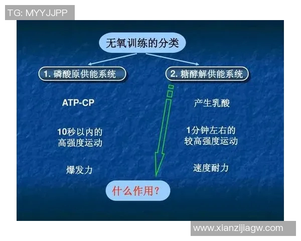 深入分析杭州羽毛球队防反战术的独特魅力与实战应用 深入分析杭州羽毛球队防反战术的独特魅力与实战应用