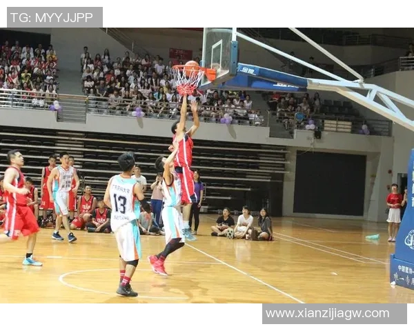 广州篮球队速度领跑最新TOP10榜单引领篮球赛场新风潮