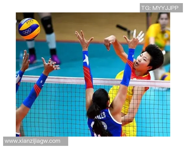 武汉排球队战术分析与表现评估全面解读 武汉排球队战术分析与表现评估全面解读
